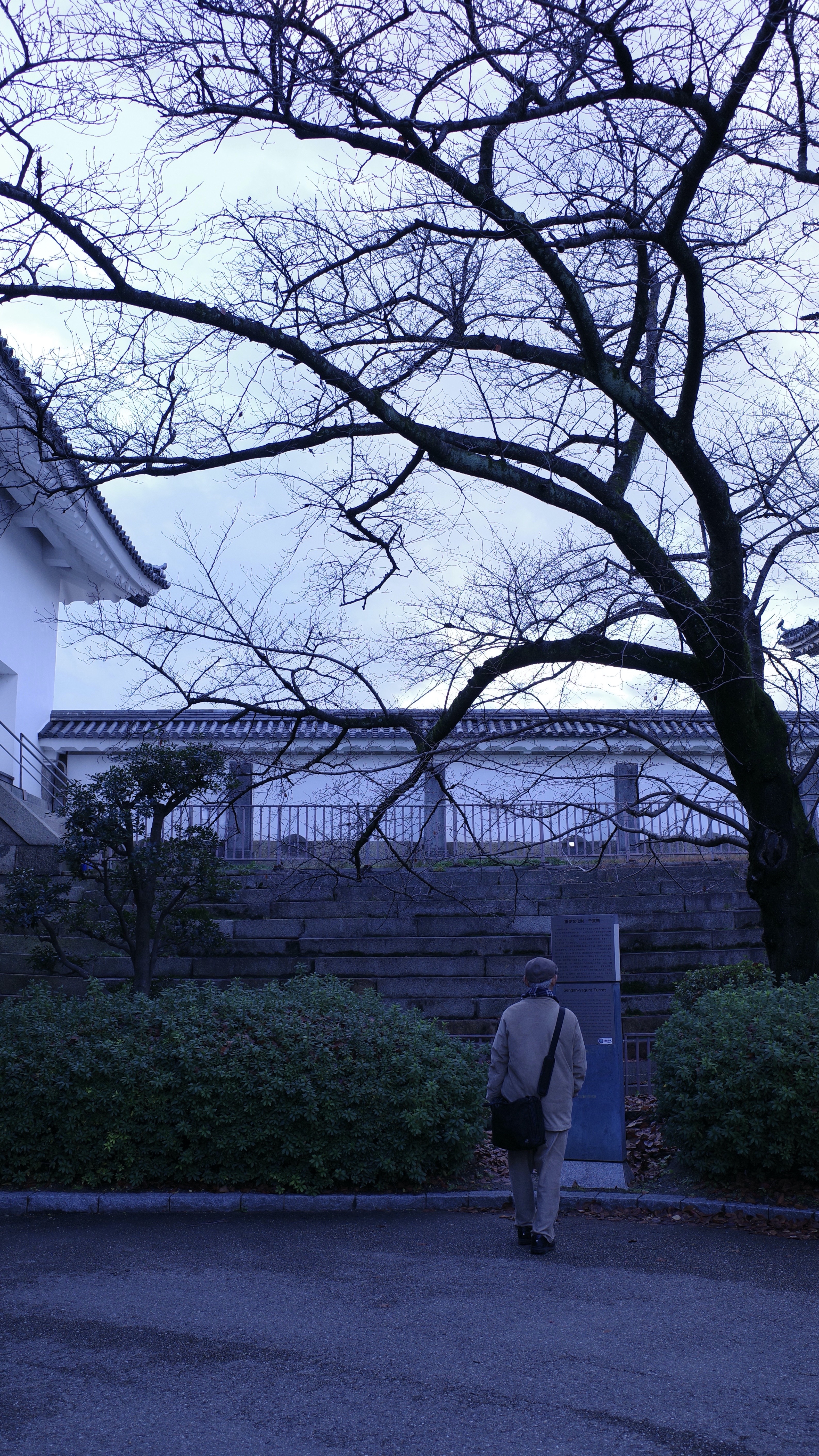 temple1