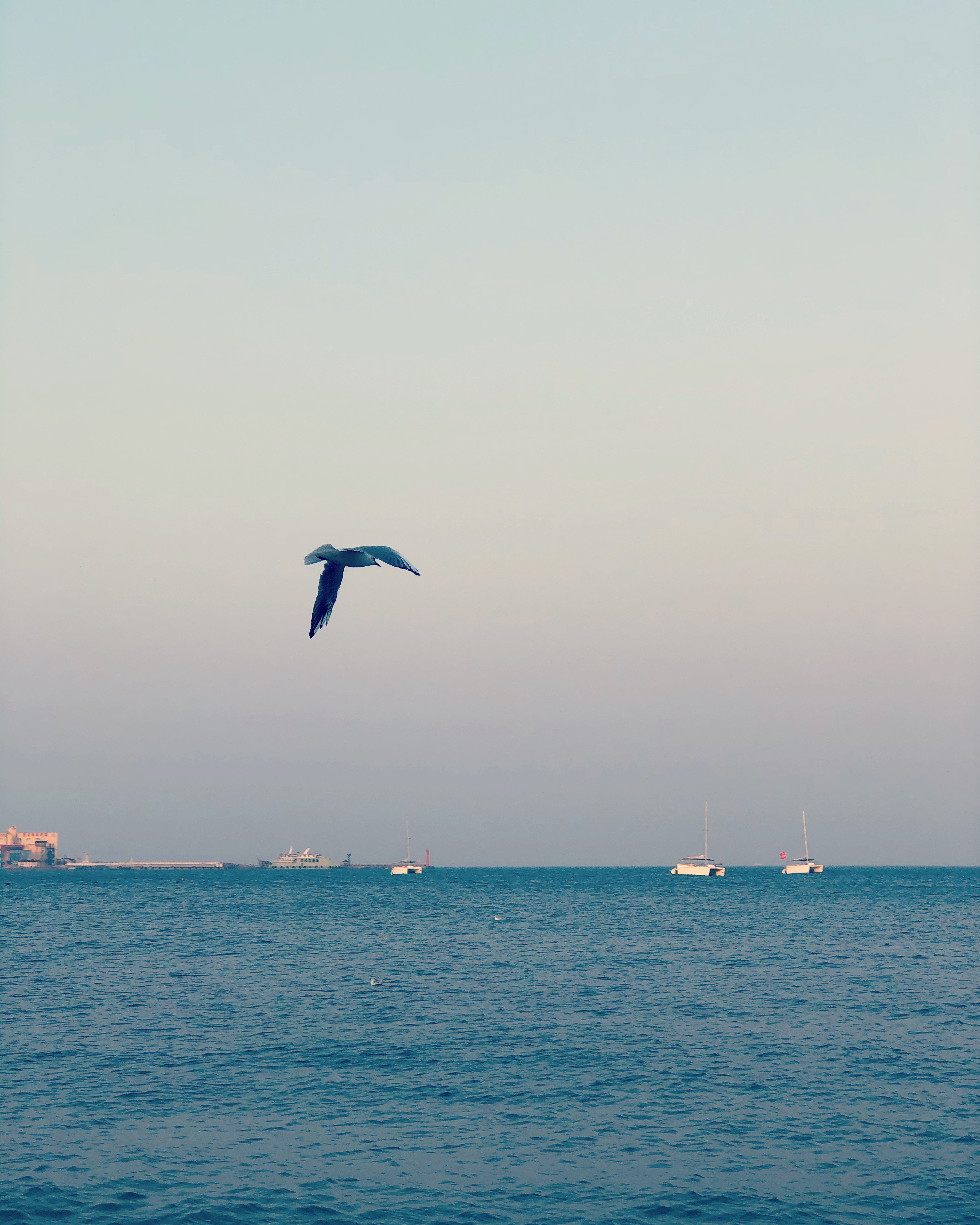 海边 2